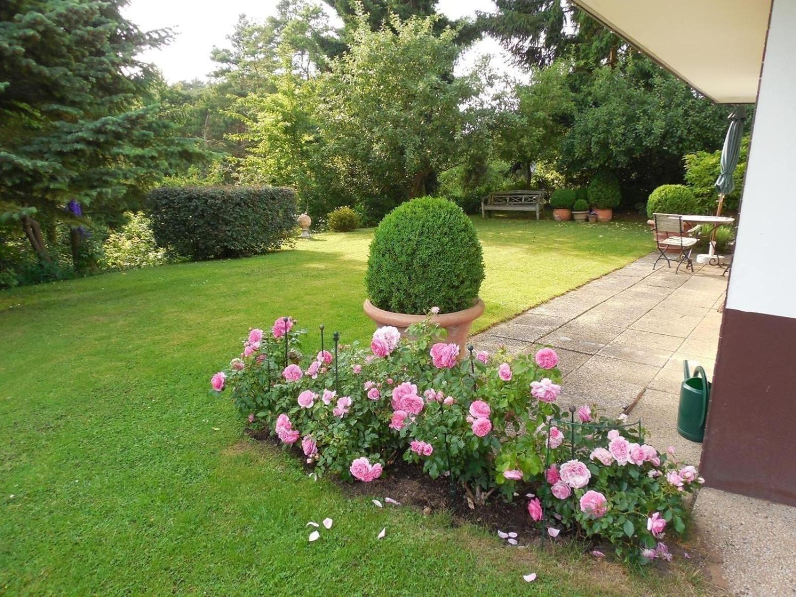 Exklusive Ferienwohnung mit Loggia am Waldrand - Property Image 9