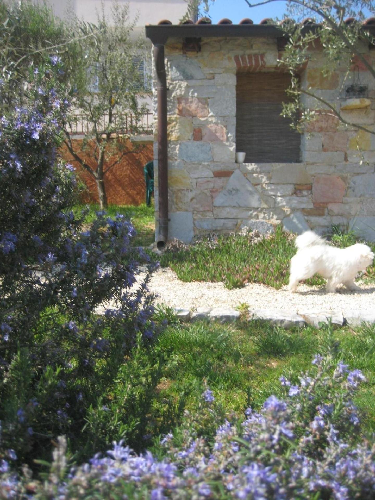 Photo 18