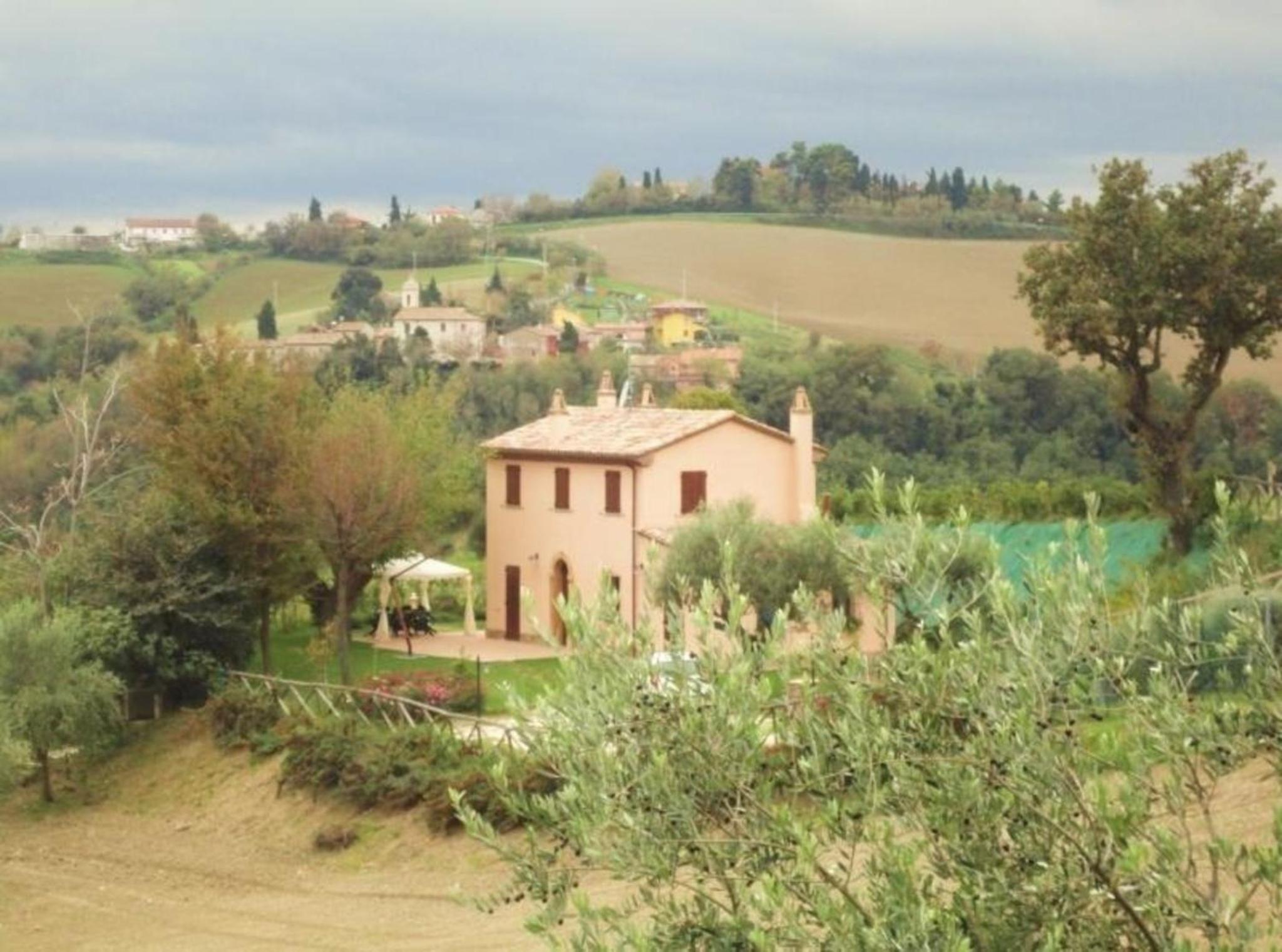 Photo 8