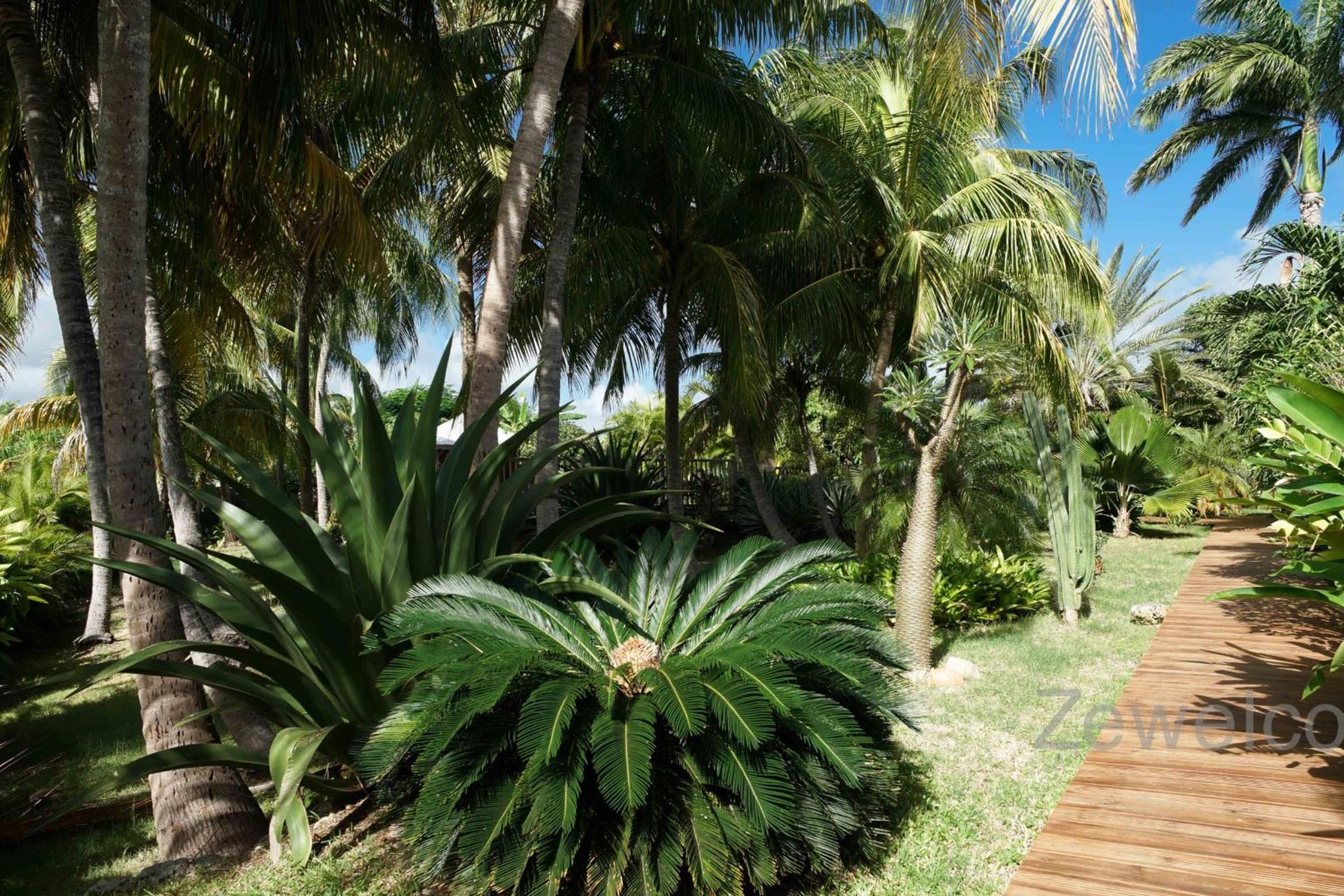 Bungalow Pitaya