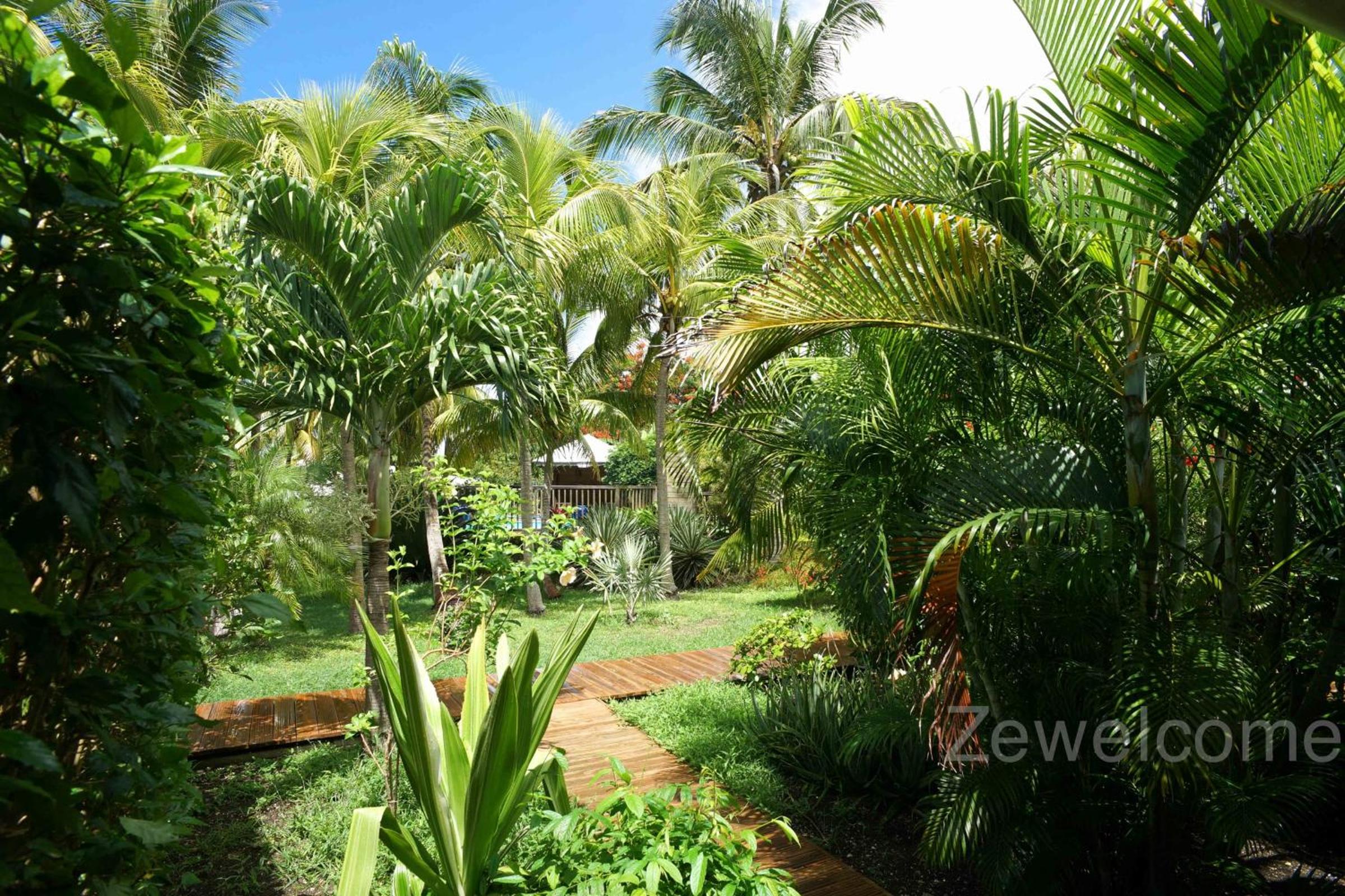 Bungalow Pitaya