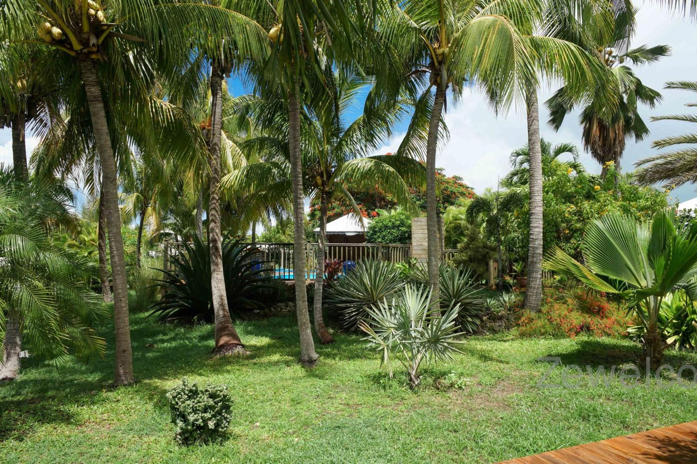 Bungalow Pitaya