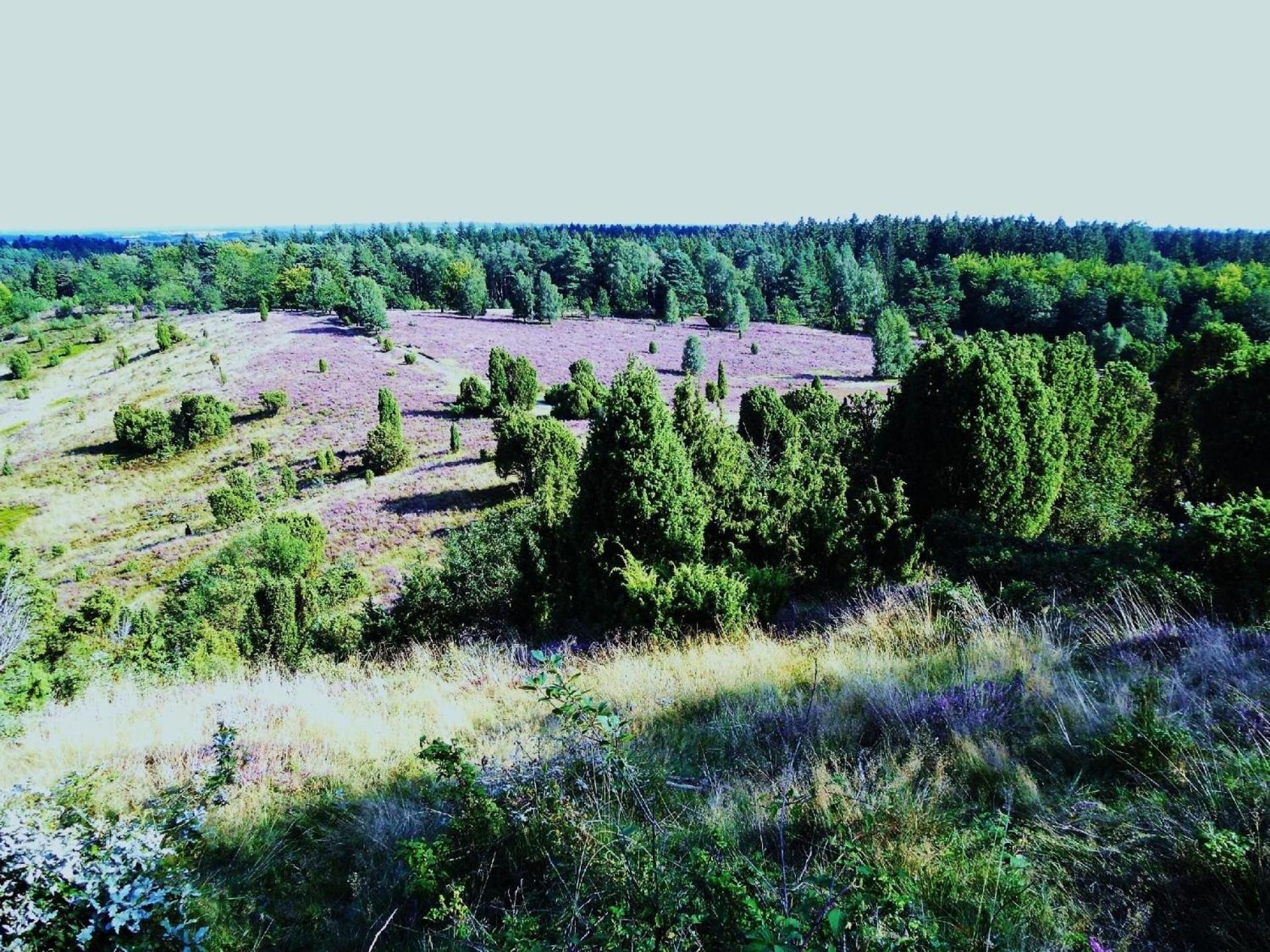 Gemütliche Ferienwohnung in Ebbingen mit Großem Garten