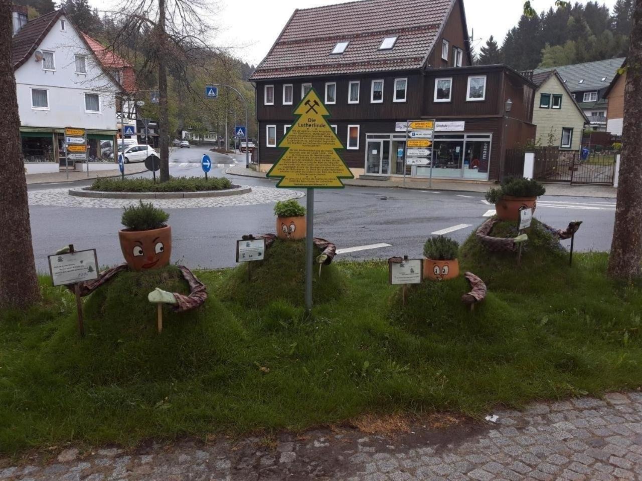Gemütliche Ferienwohnung in Altenau mit Grill und Terrasse