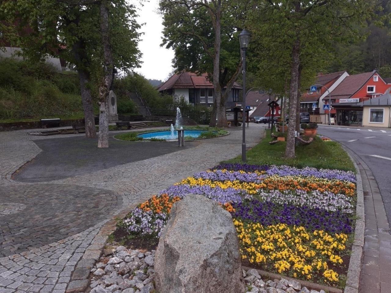 Gemütliche Ferienwohnung in Altenau mit Grill und Terrasse
