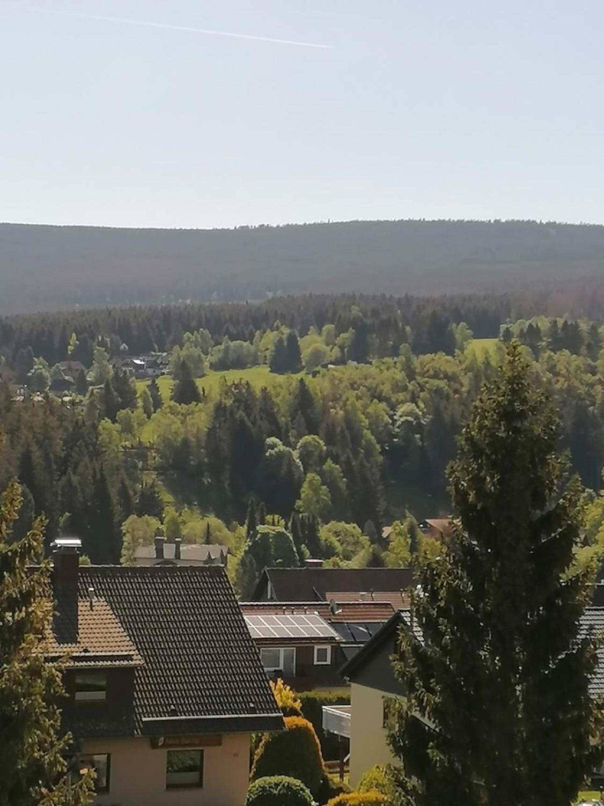 Gemütliche Ferienwohnung in Altenau mit Grill und Terrasse
