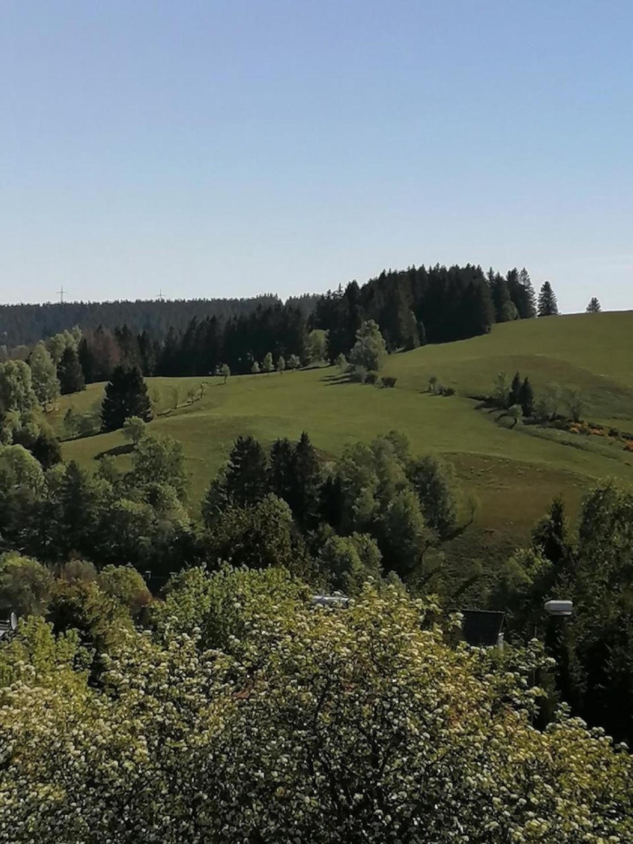 Gemütliche Ferienwohnung in Altenau mit Grill und Terrasse