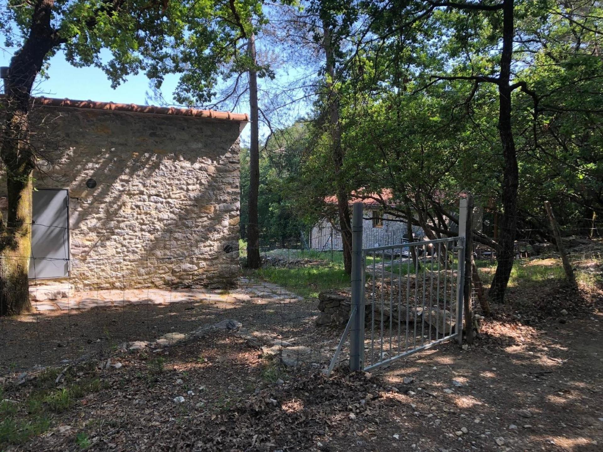 Photo 17