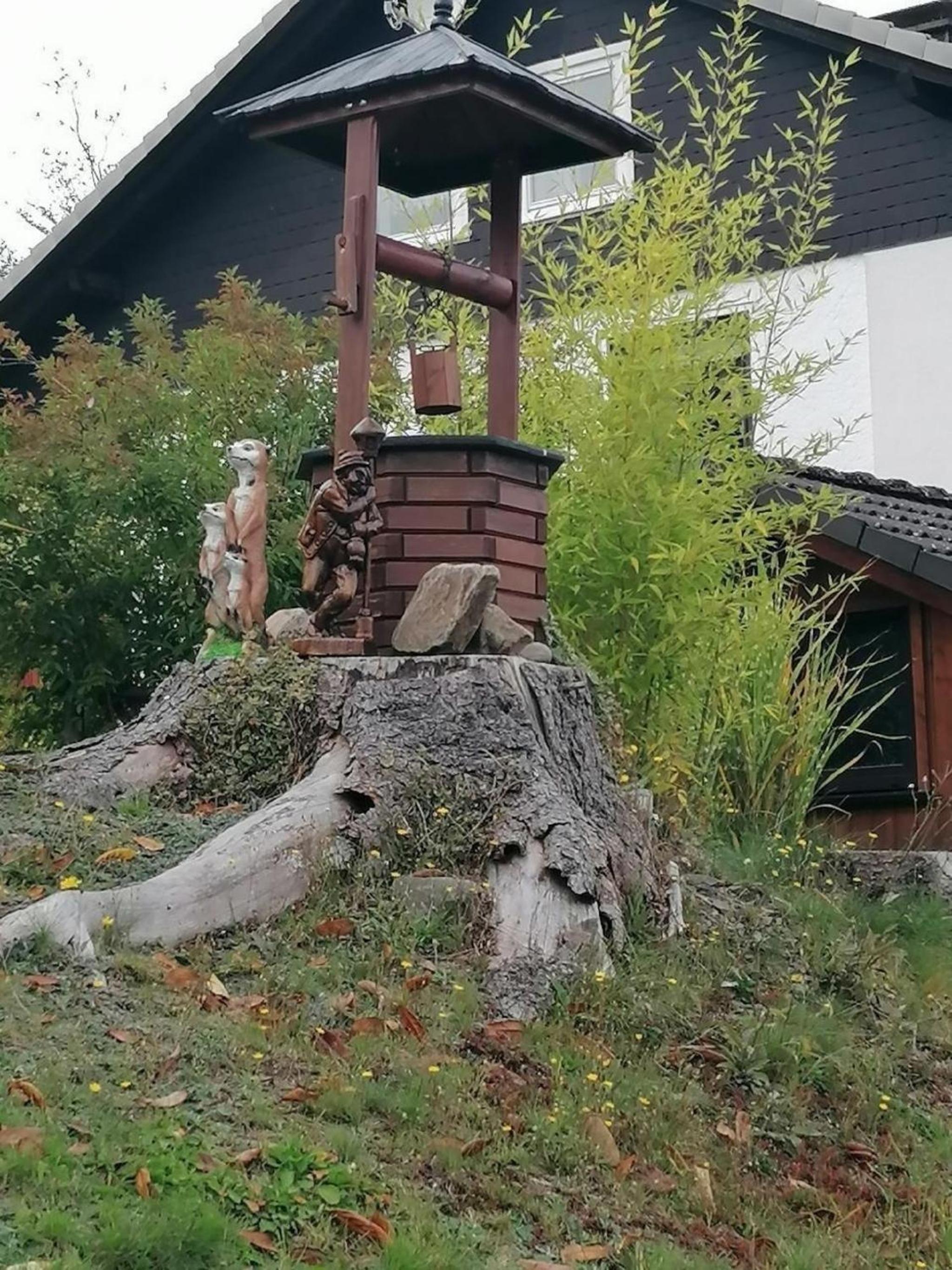 Gemütliche Ferienwohnung in Altenau