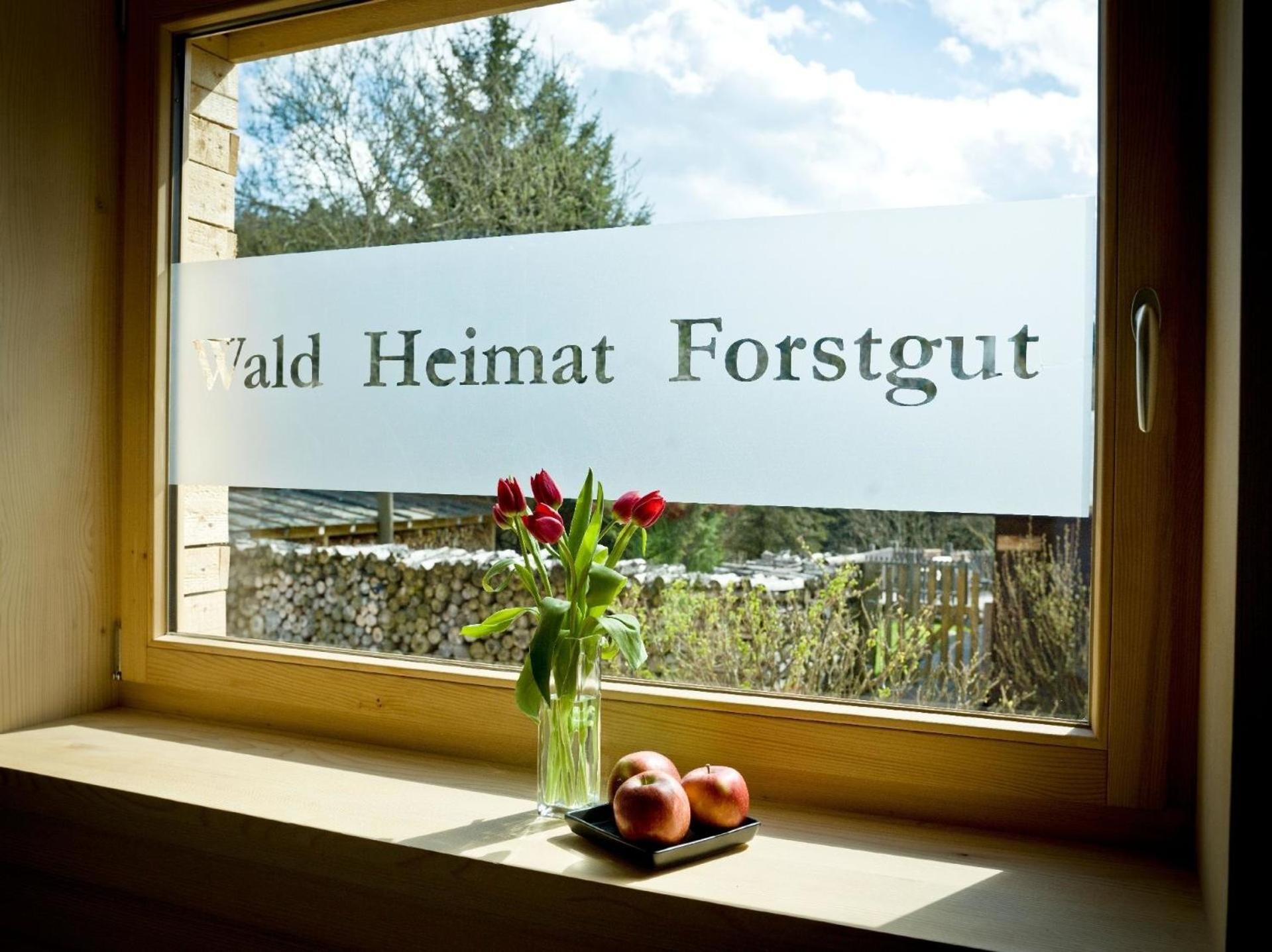 Modernes Holzhaus mit Sauna, Whirlpool und Entspannungsraum