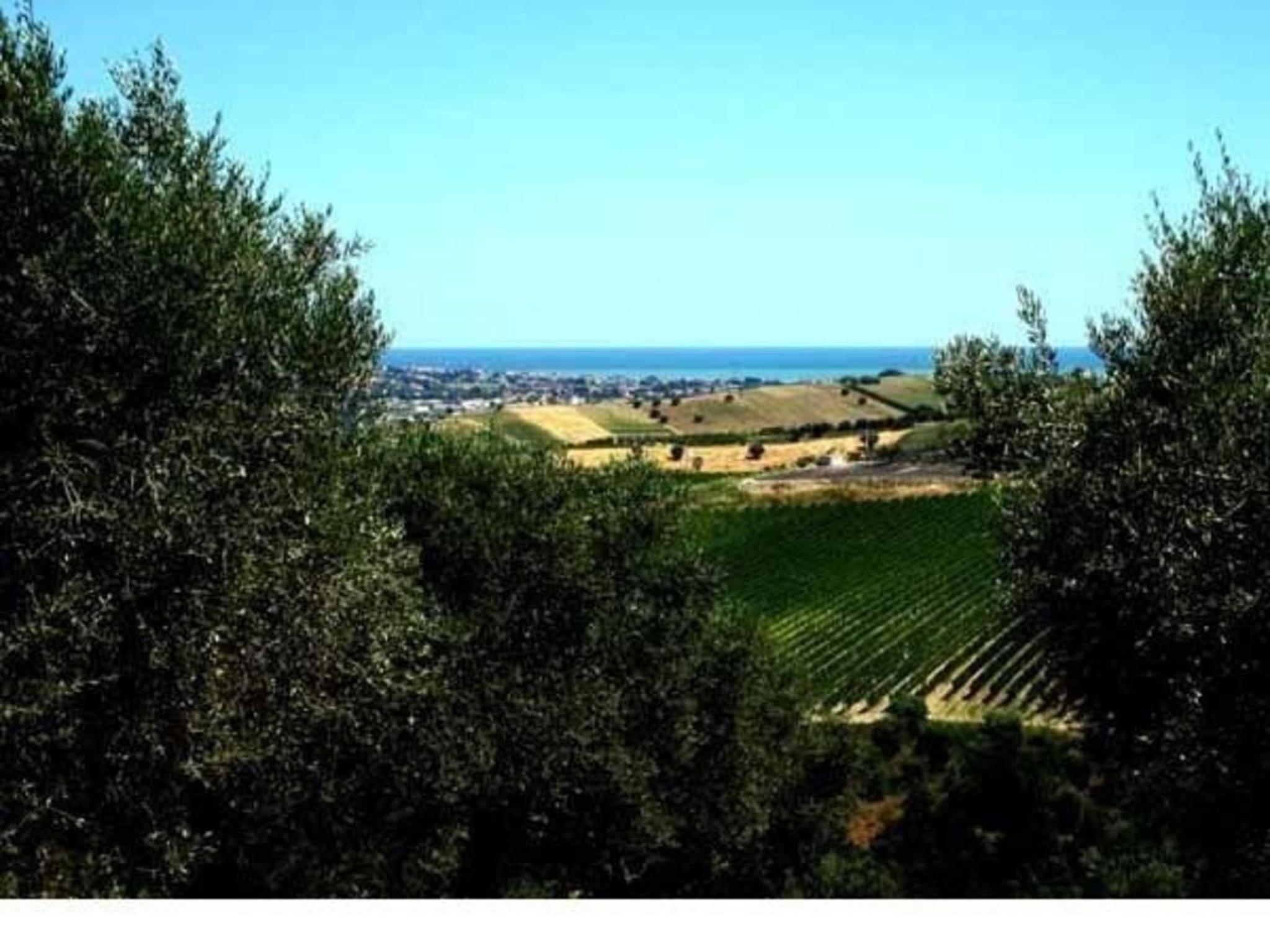 Ferienwohnung in Notaresco mit Grill und Garten view 4