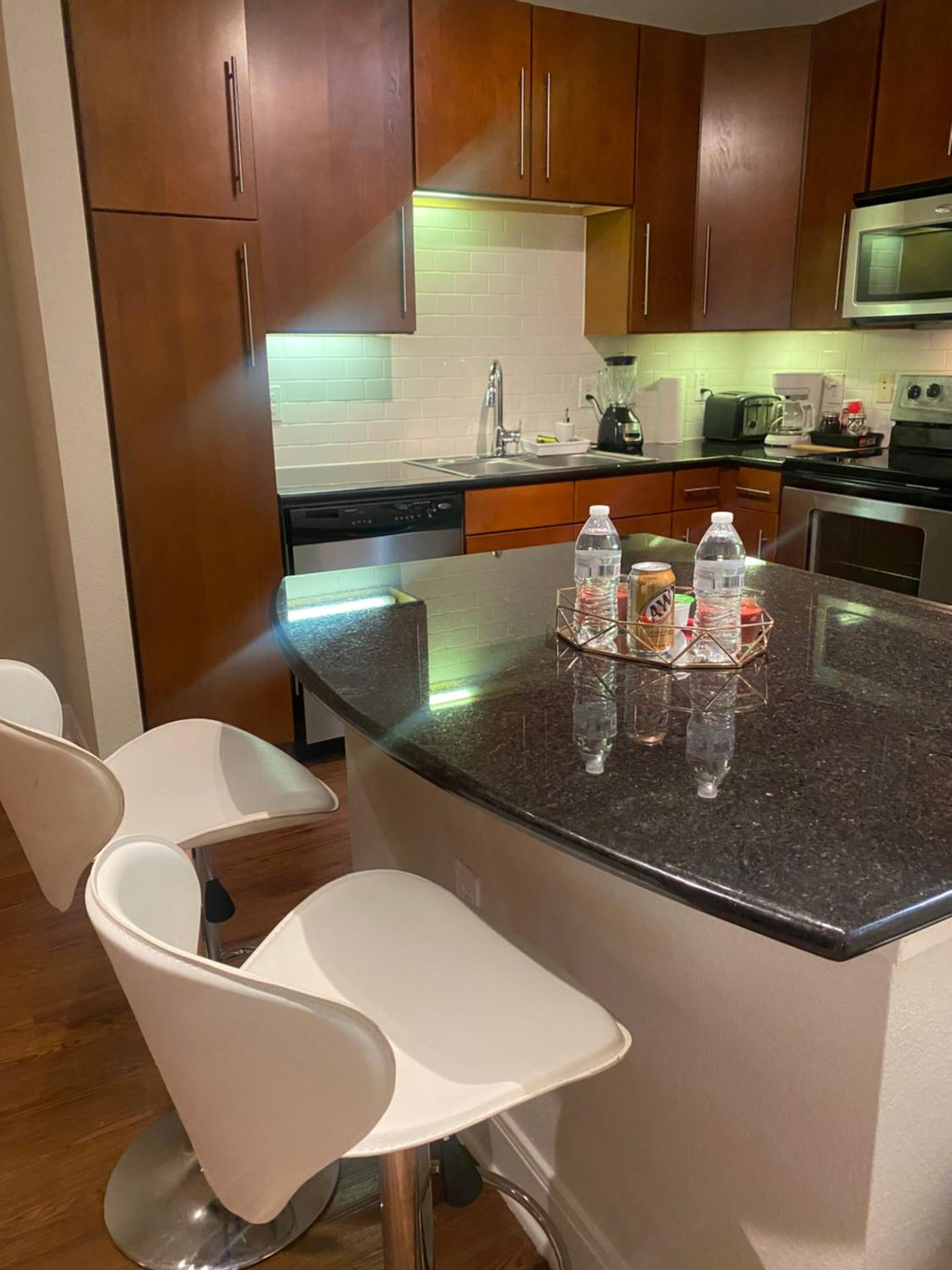 Luxurious King Paradise - Med Center - Free Parking view 2