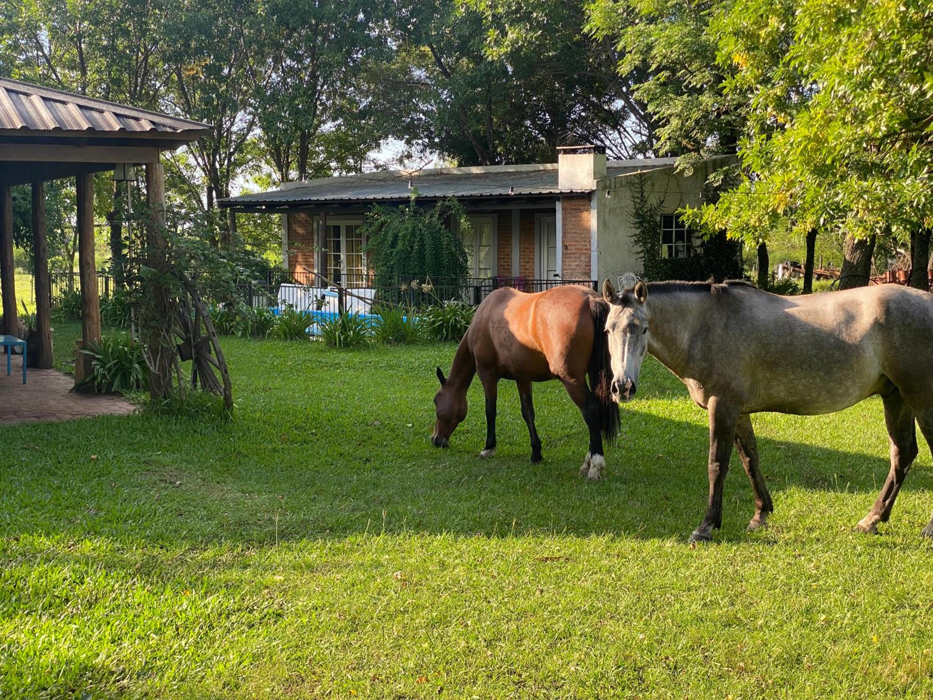 Casa de Campo SAN JACINTO grupos GRANDES 17 p Promo Diciembre del 10 al 22 mínimo 5 noches Resérvala Ya !