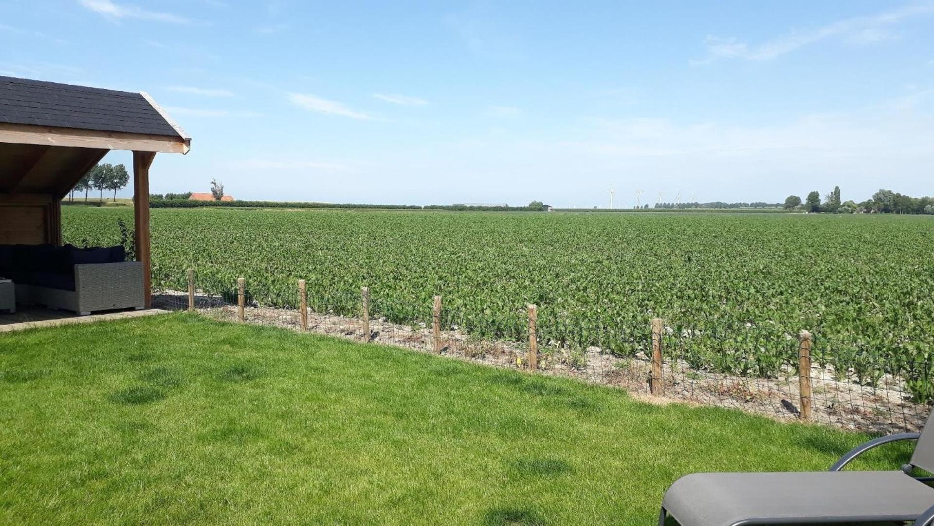 Ferienhaus für 6 Personen ca 72 qm in Stavenisse, Zeeland Küste von Zeeland view 4