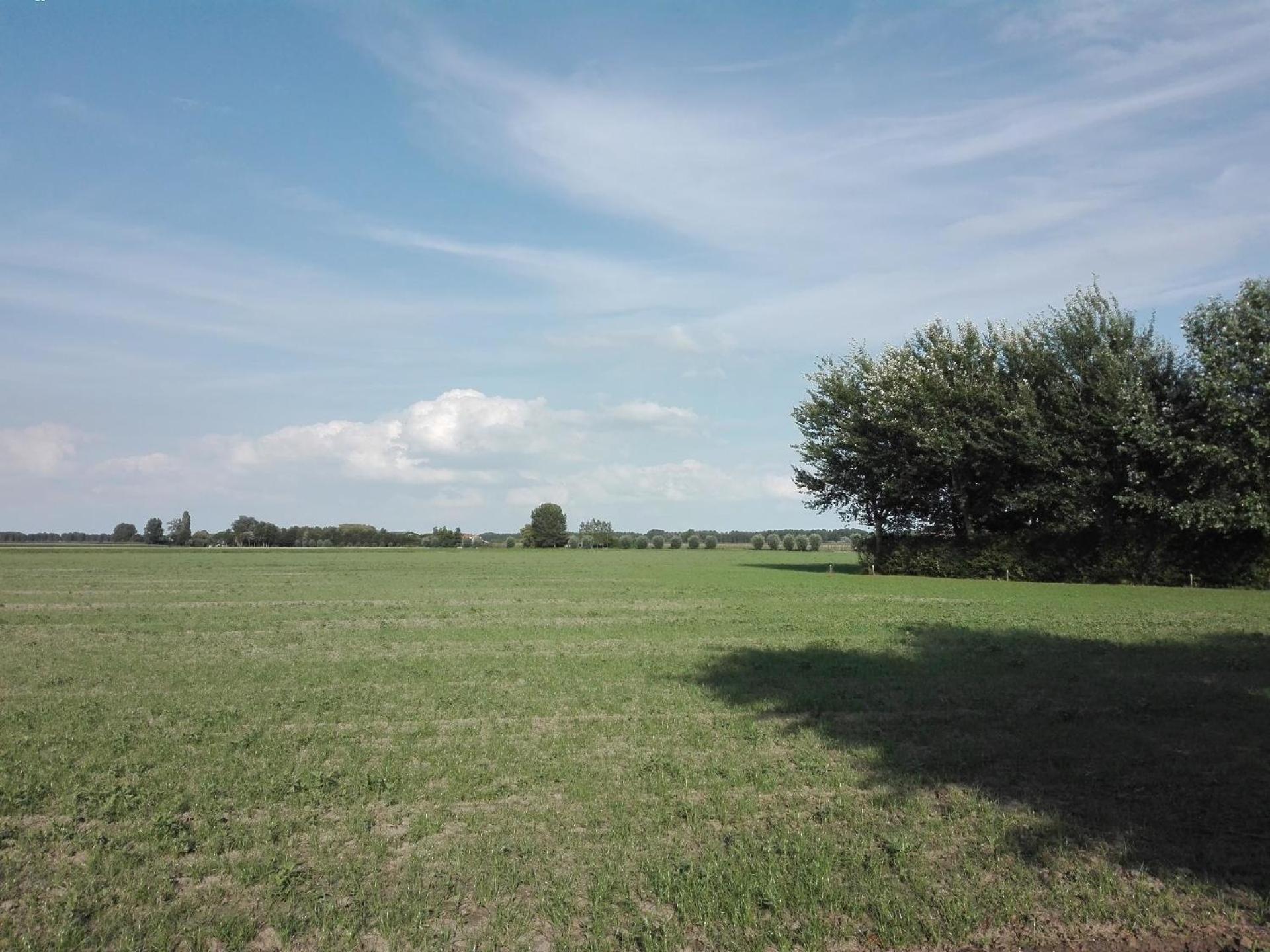 Ferienhaus für 6 Personen ca 72 qm in Stavenisse, Zeeland Küste von Zeeland view 5