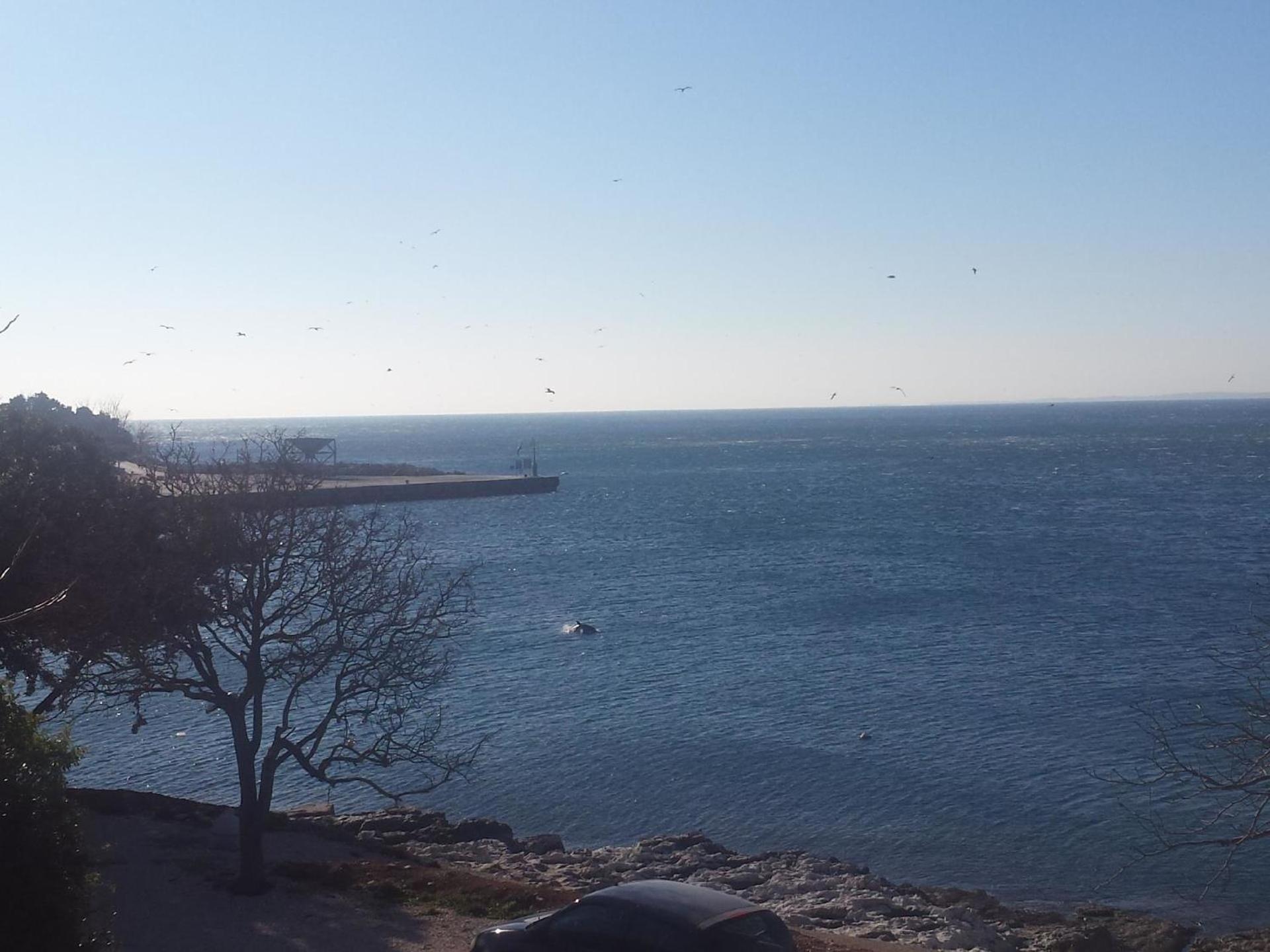 Ferienwohnung für 4 Personen ca 65 qm in Koromacno, Istrien Bucht von Raša view 3