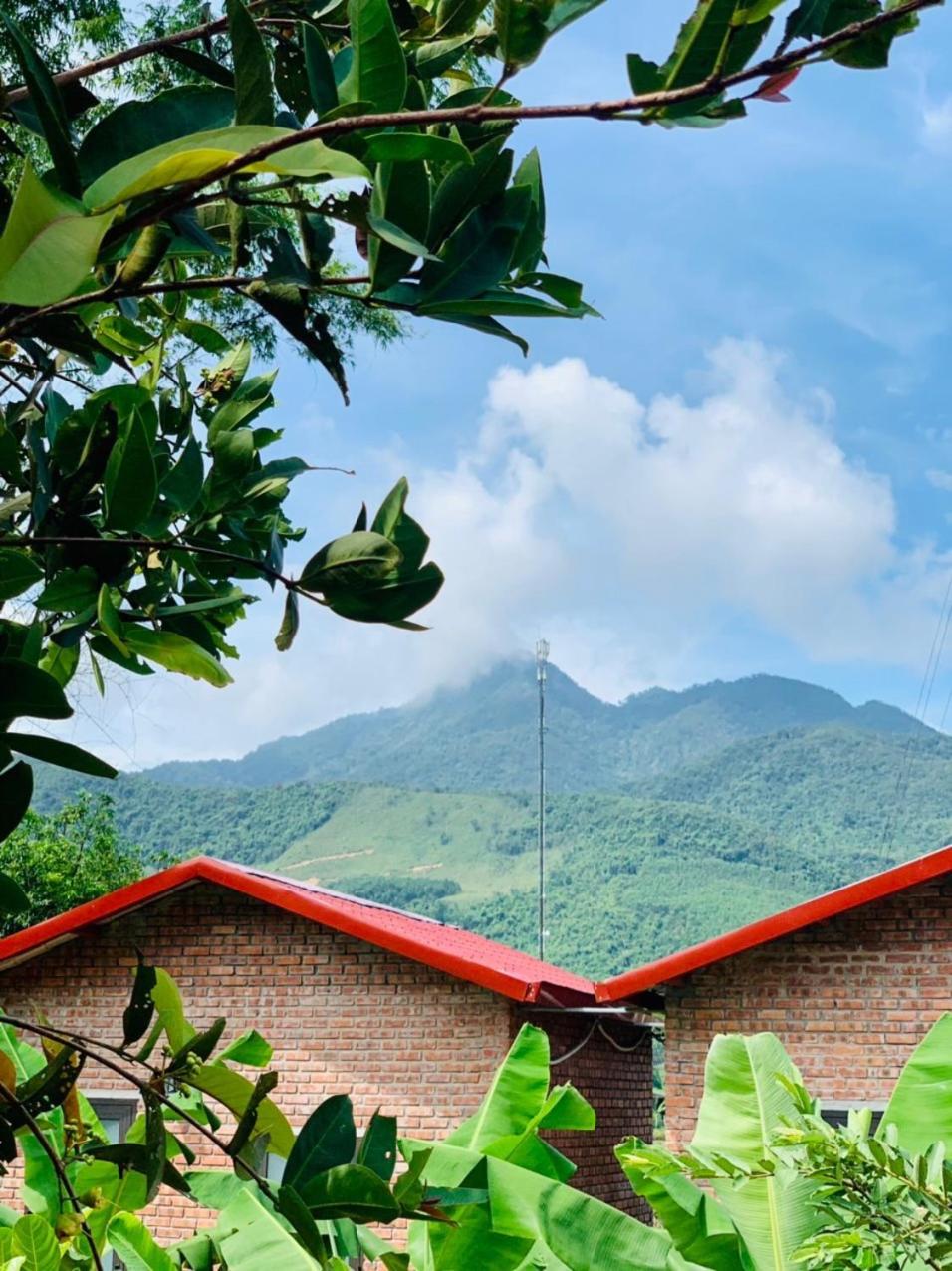 Bình Yên’s Homestay