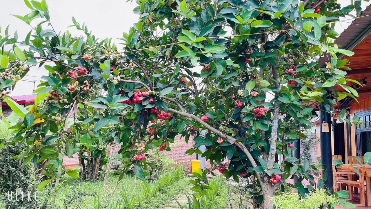 Bình Yên’s Homestay