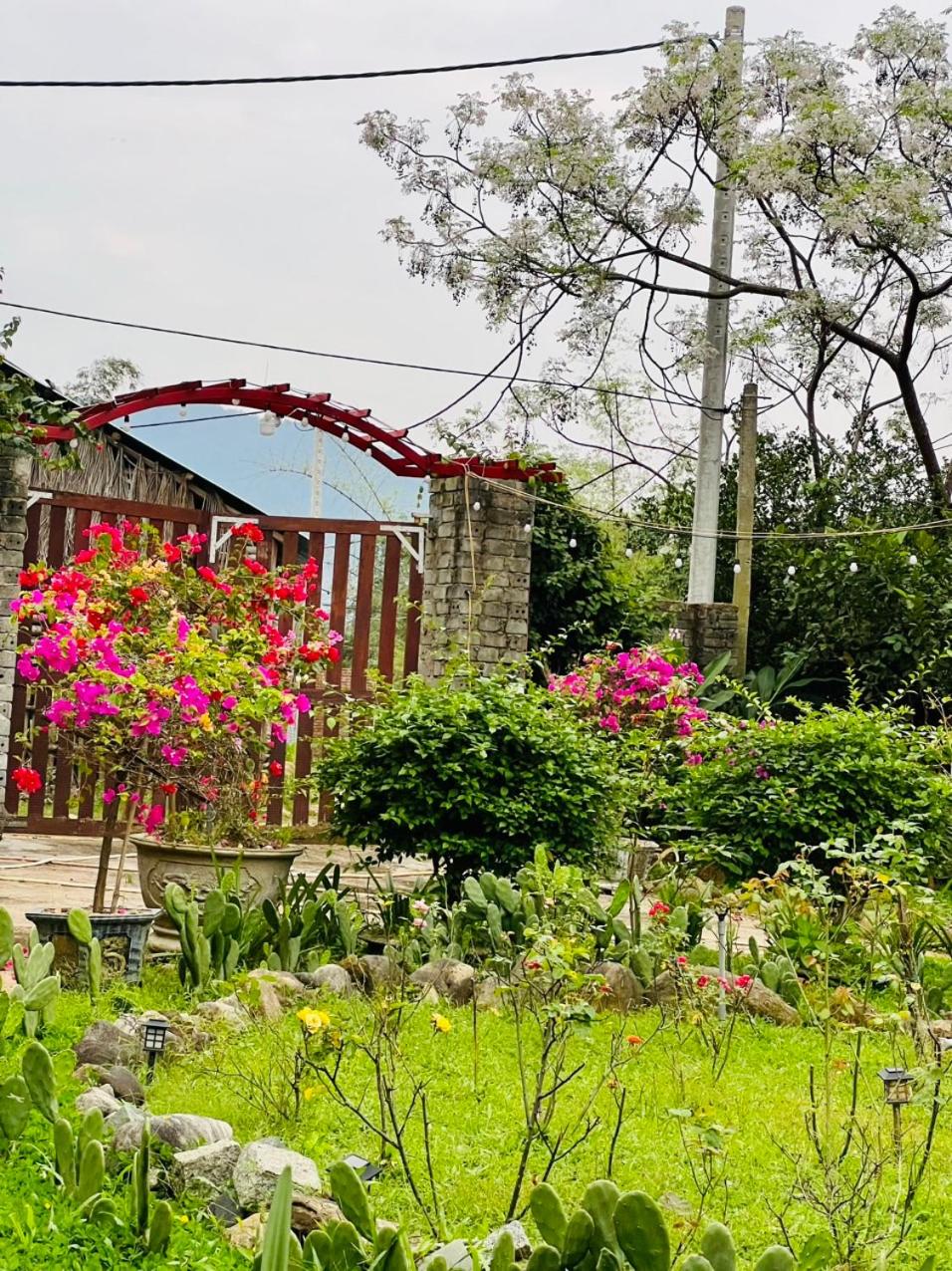 Bình Yên’s Homestay