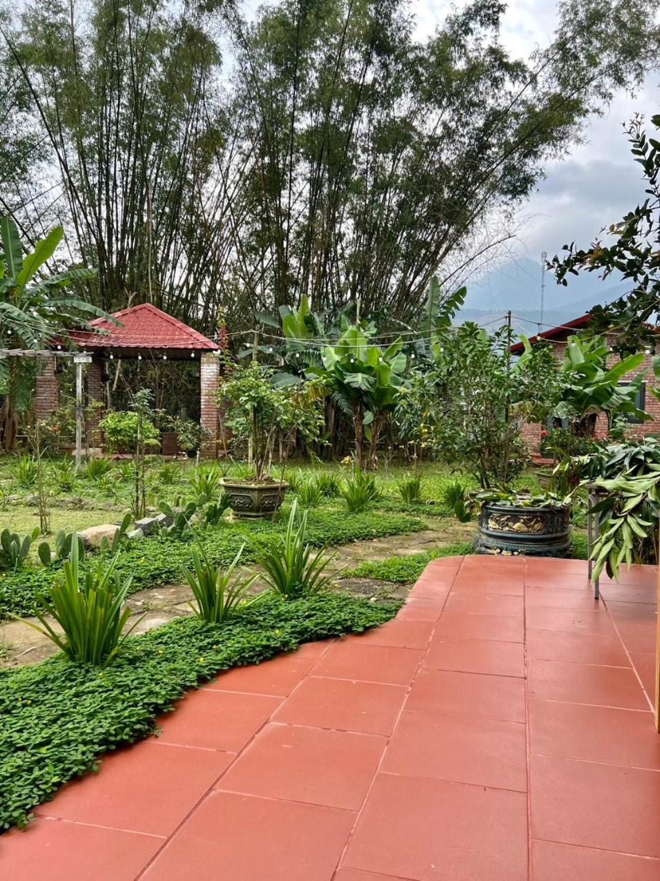 Bình Yên’s Homestay