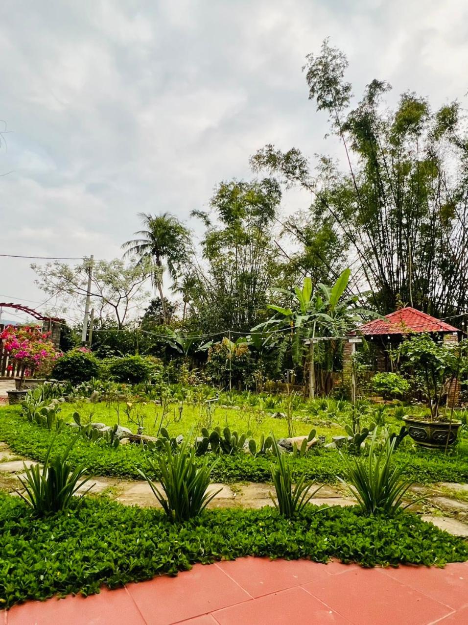 Bình Yên’s Homestay