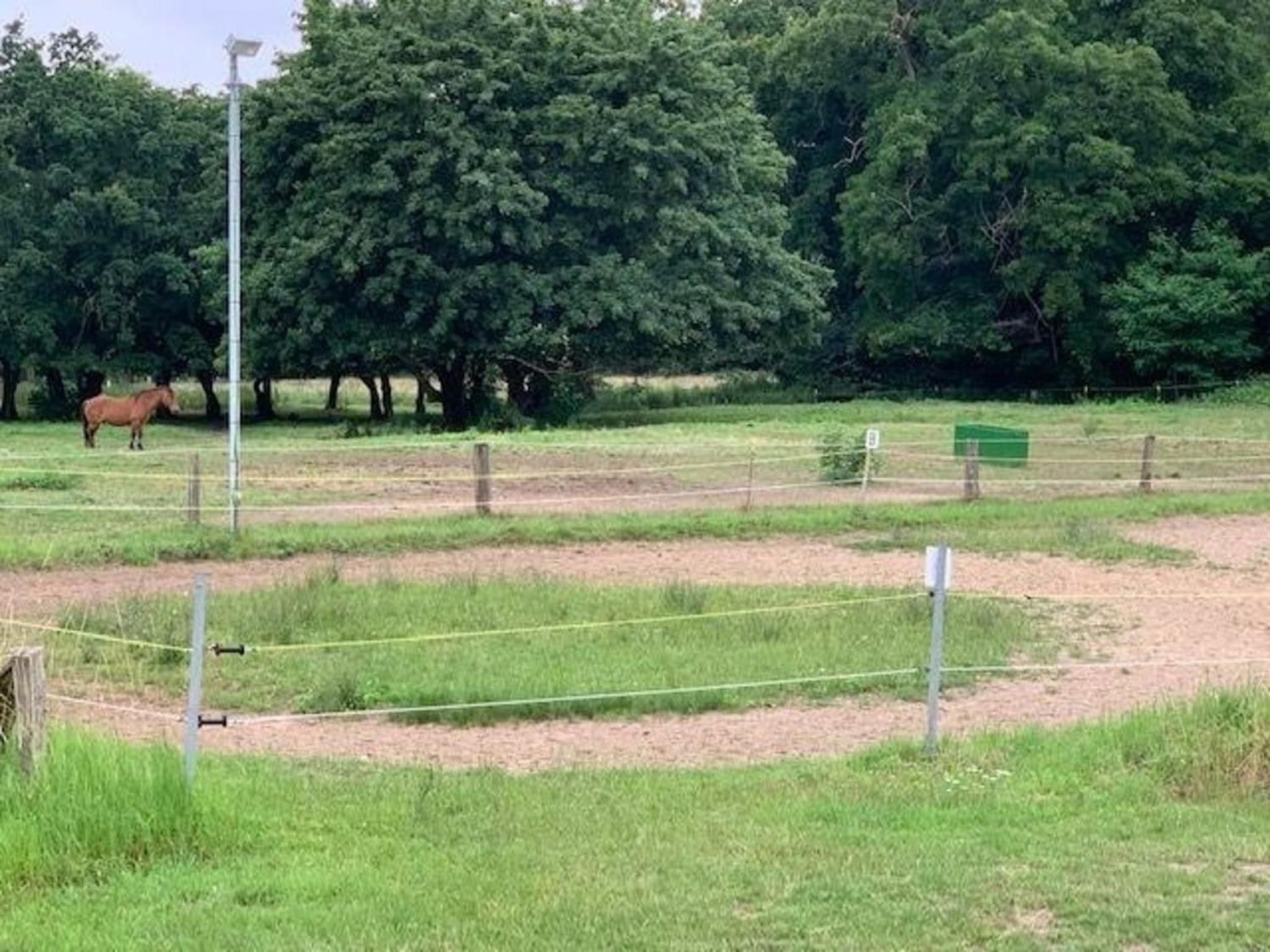 Wohnung In Dreveskirchen Mit Kleinem Garten