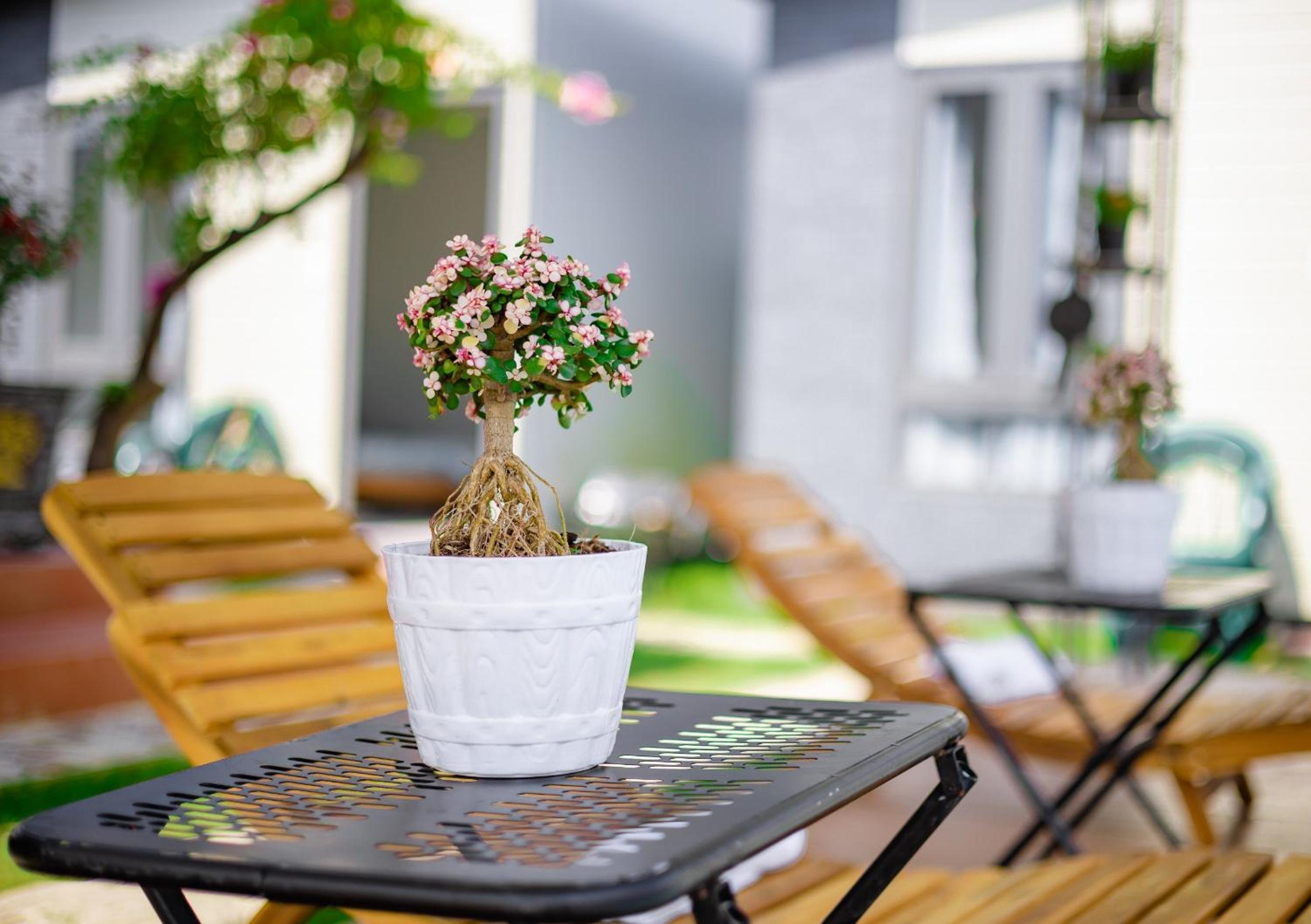 Nguyễn Lagi Homestay