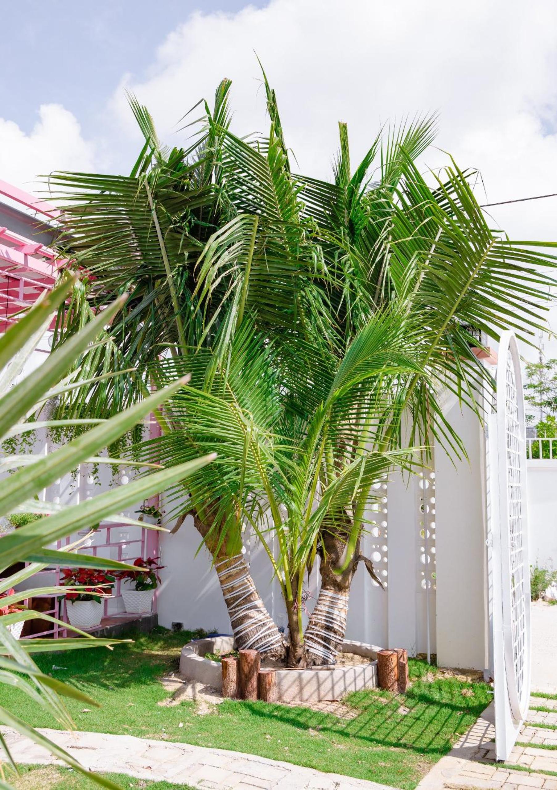 Nguyễn Lagi Homestay