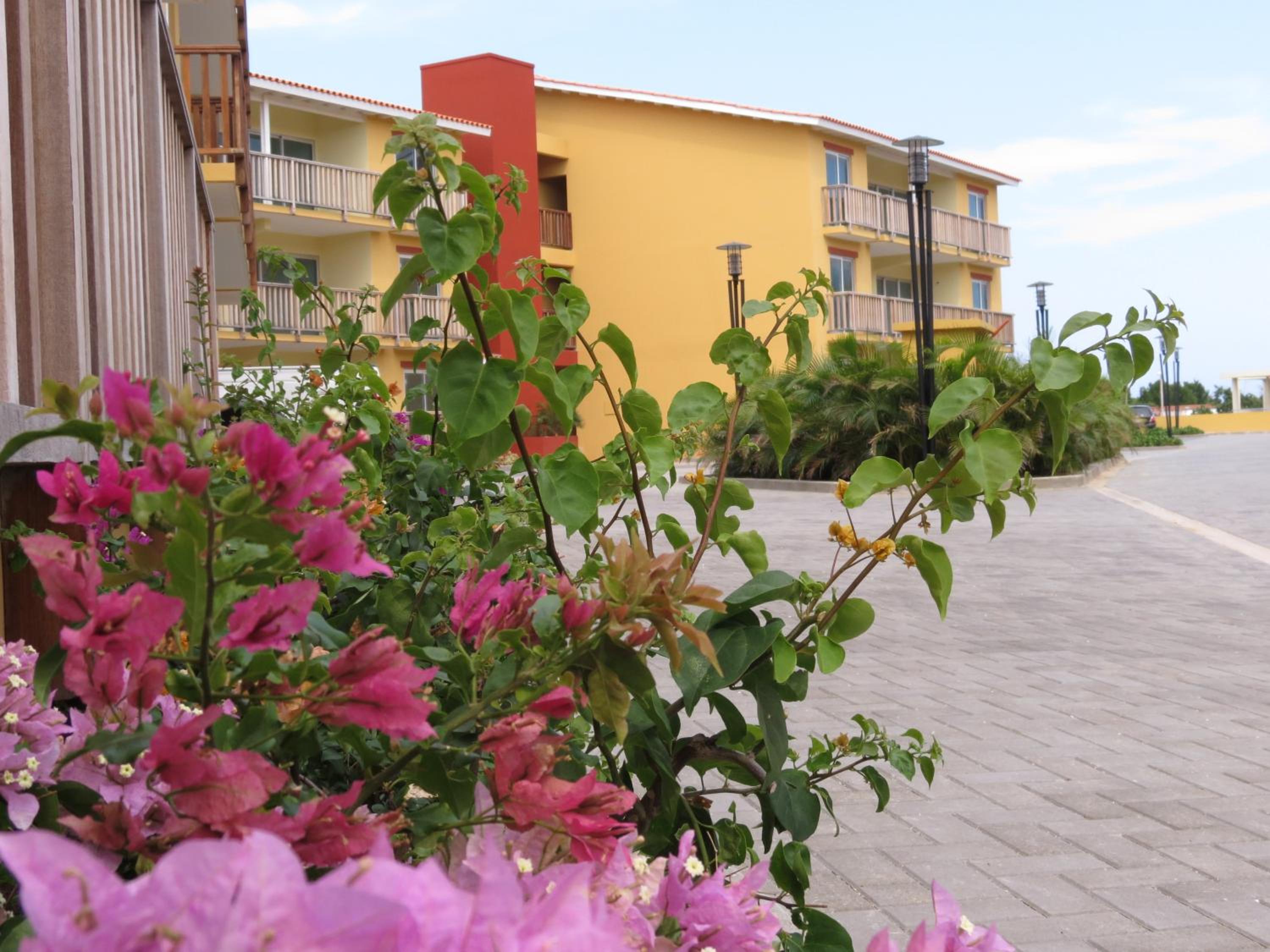 Palapa Beach Resort Curacao