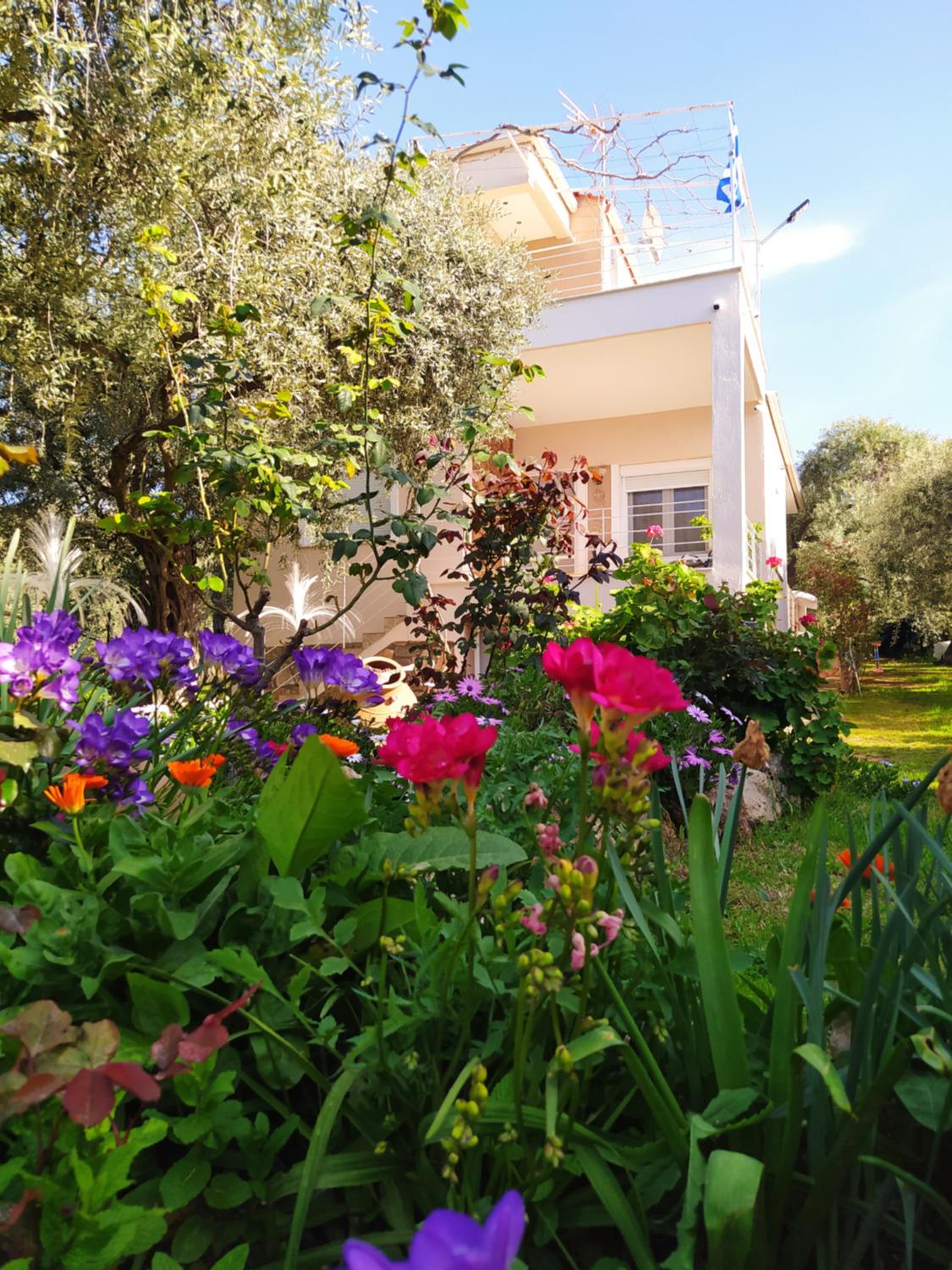 SUN GARDEN