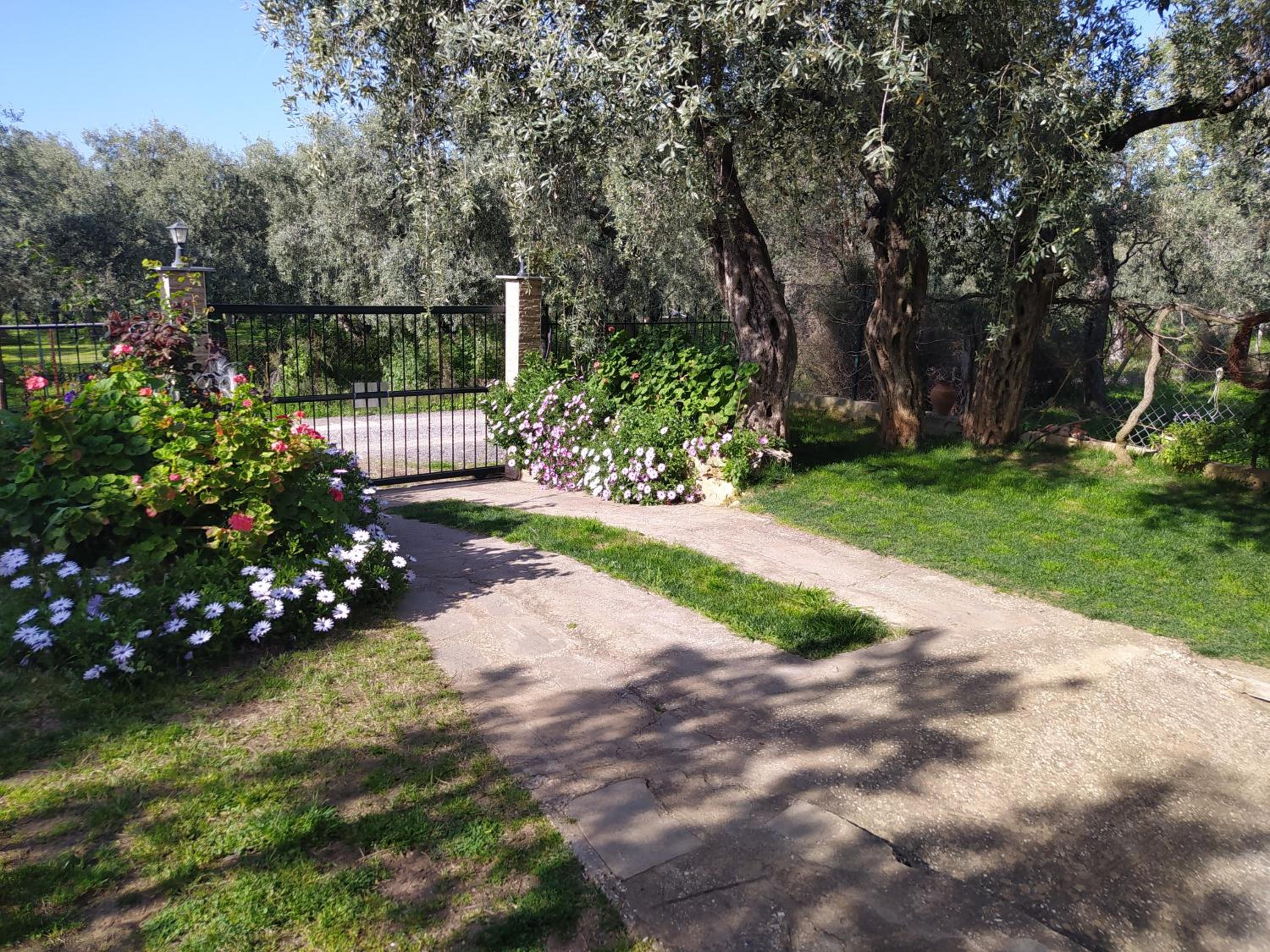 SUN GARDEN