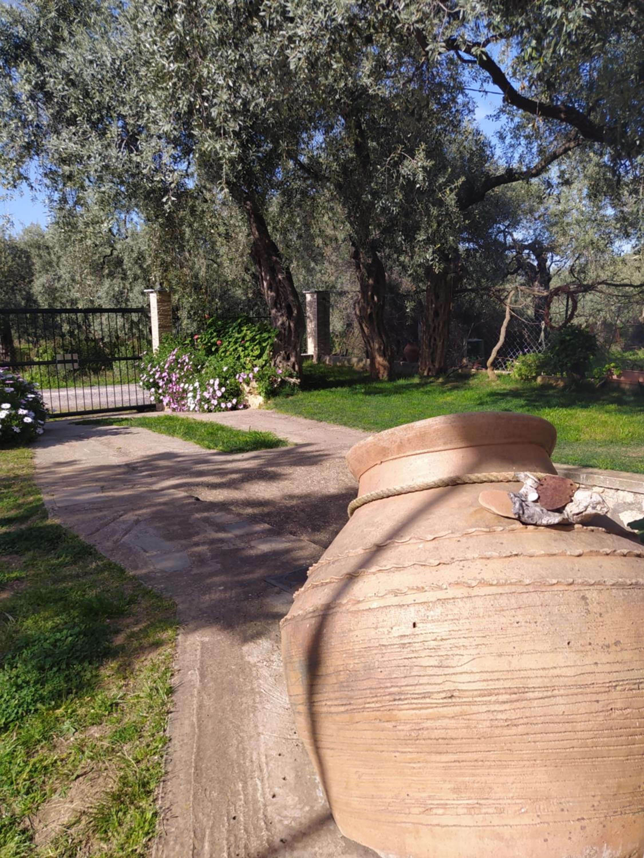 SUN GARDEN