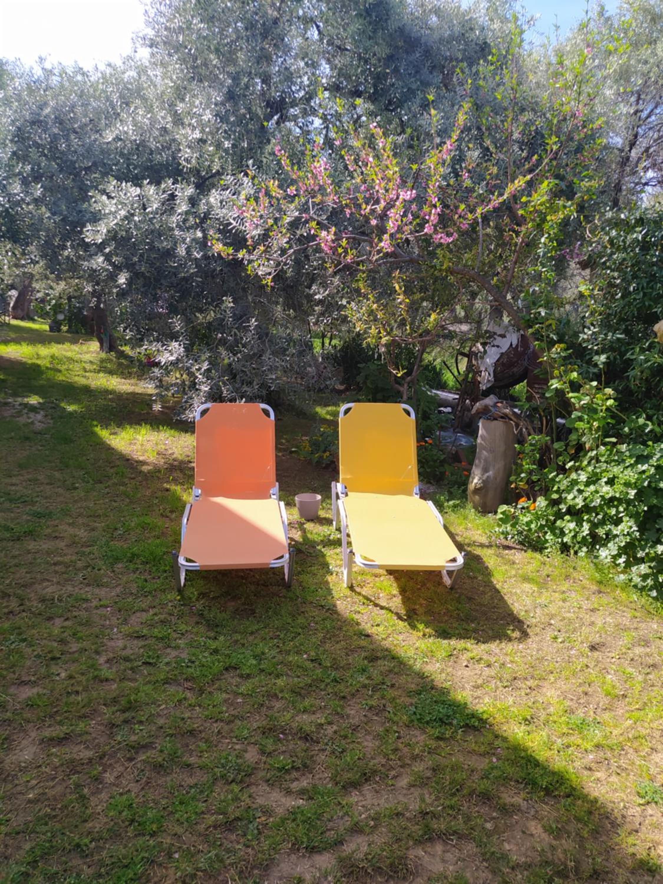 SUN GARDEN