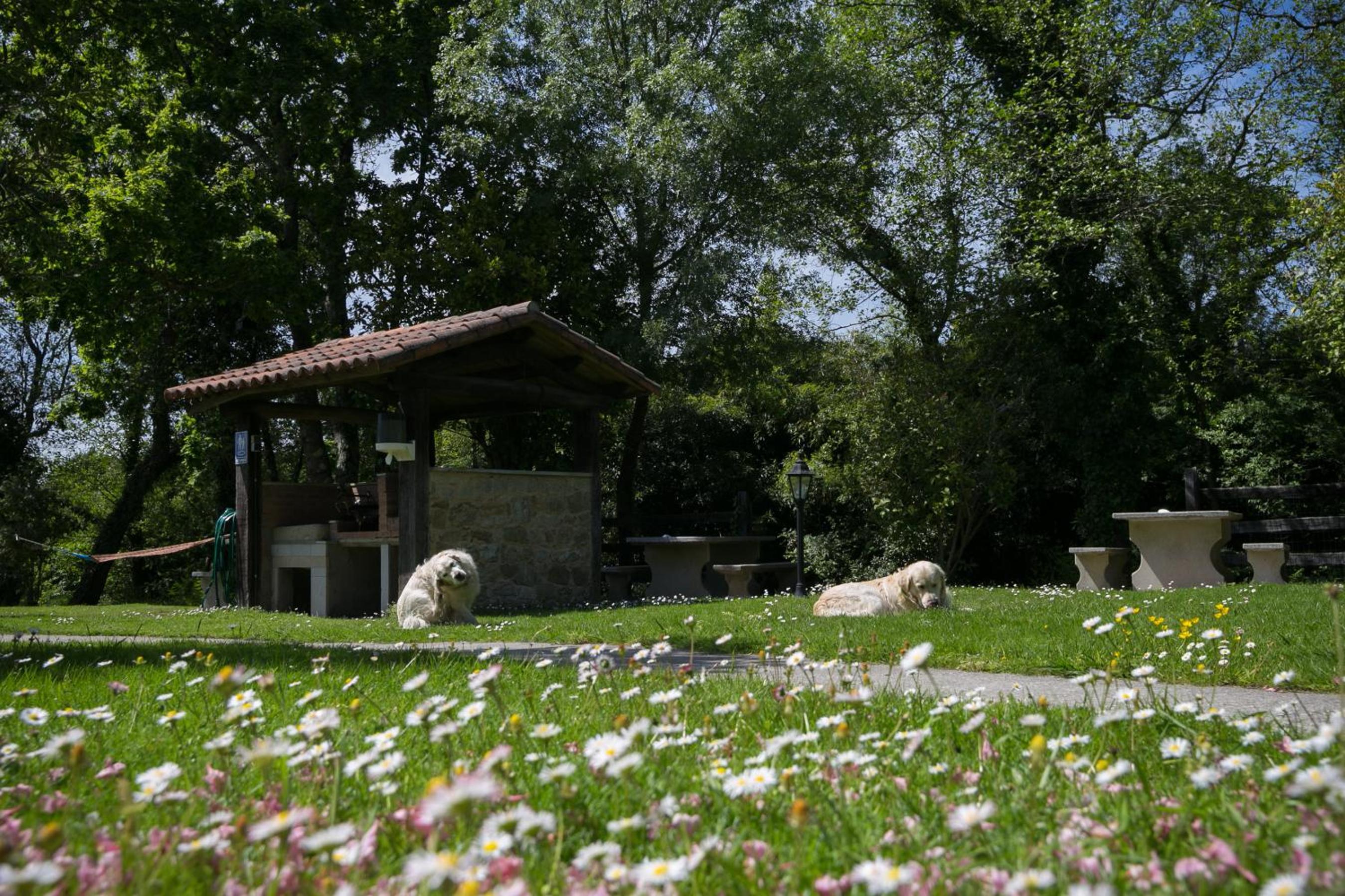 Aldea Os Muiños