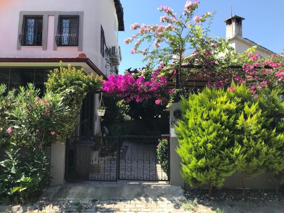 Arya Roof House - Image 5