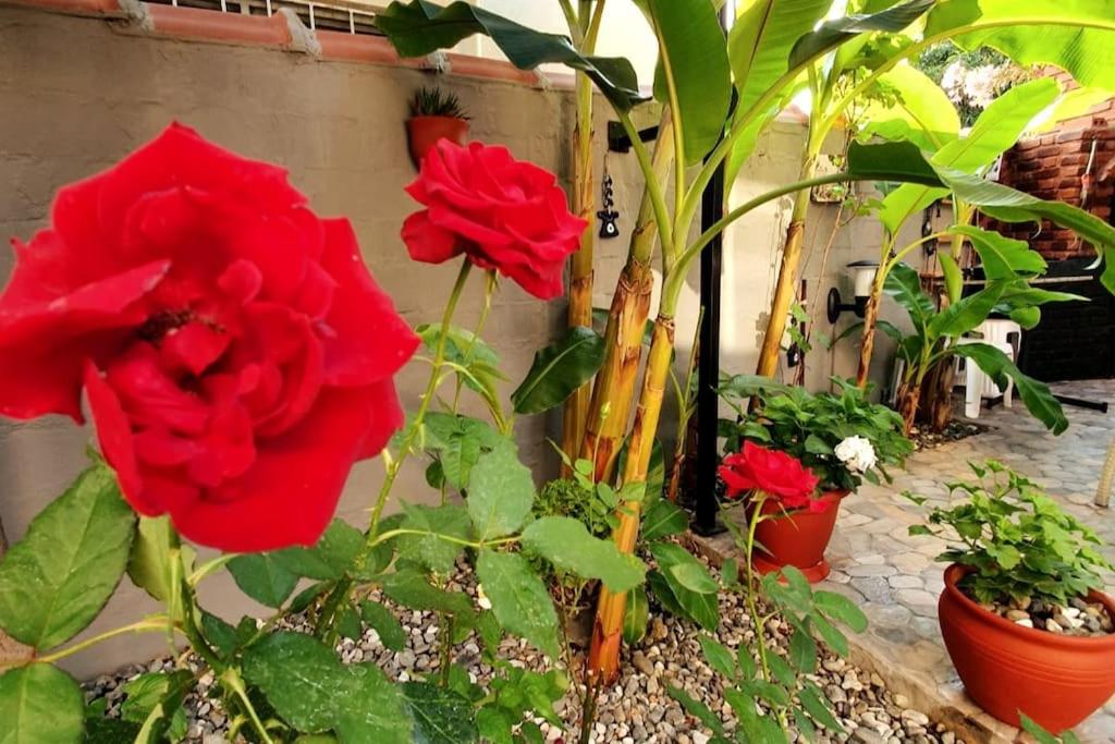 Arya Roof House - Image 61