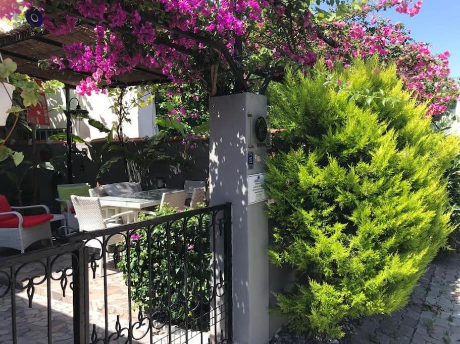 Arya Roof House - Image 60