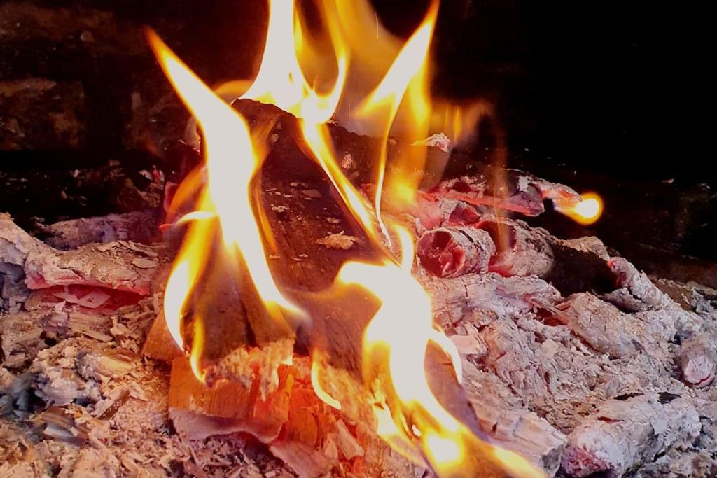 Arya Roof House - Image 57