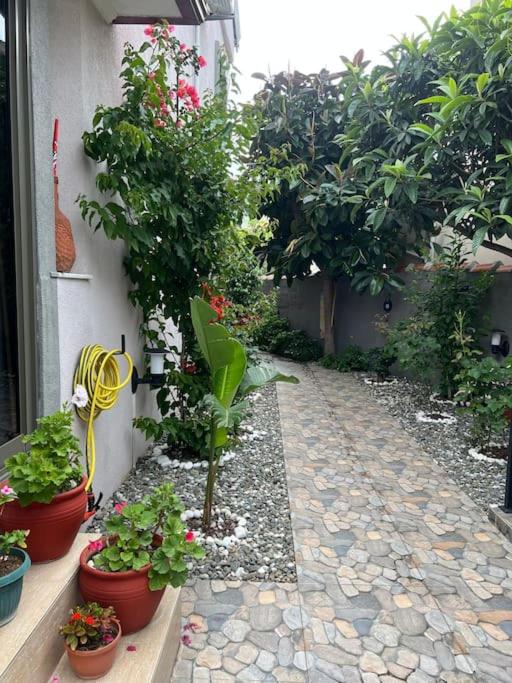 Arya Roof House - Image 56