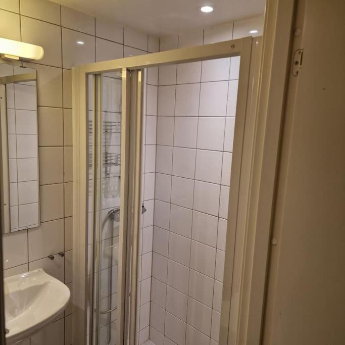 Serene 1 bedroom apartment Oslo view 4