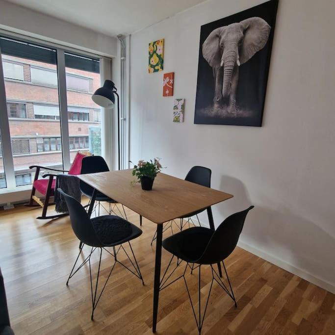 Serene 1 bedroom apartment Oslo view 3