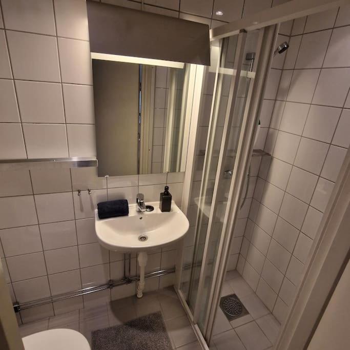 Serene 1 bedroom apartment Oslo view 5