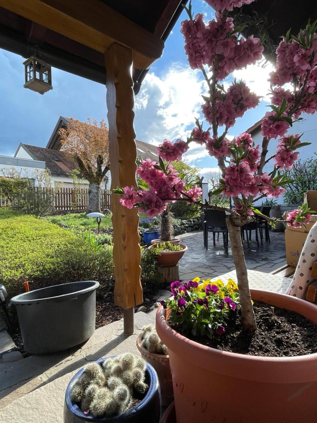 other