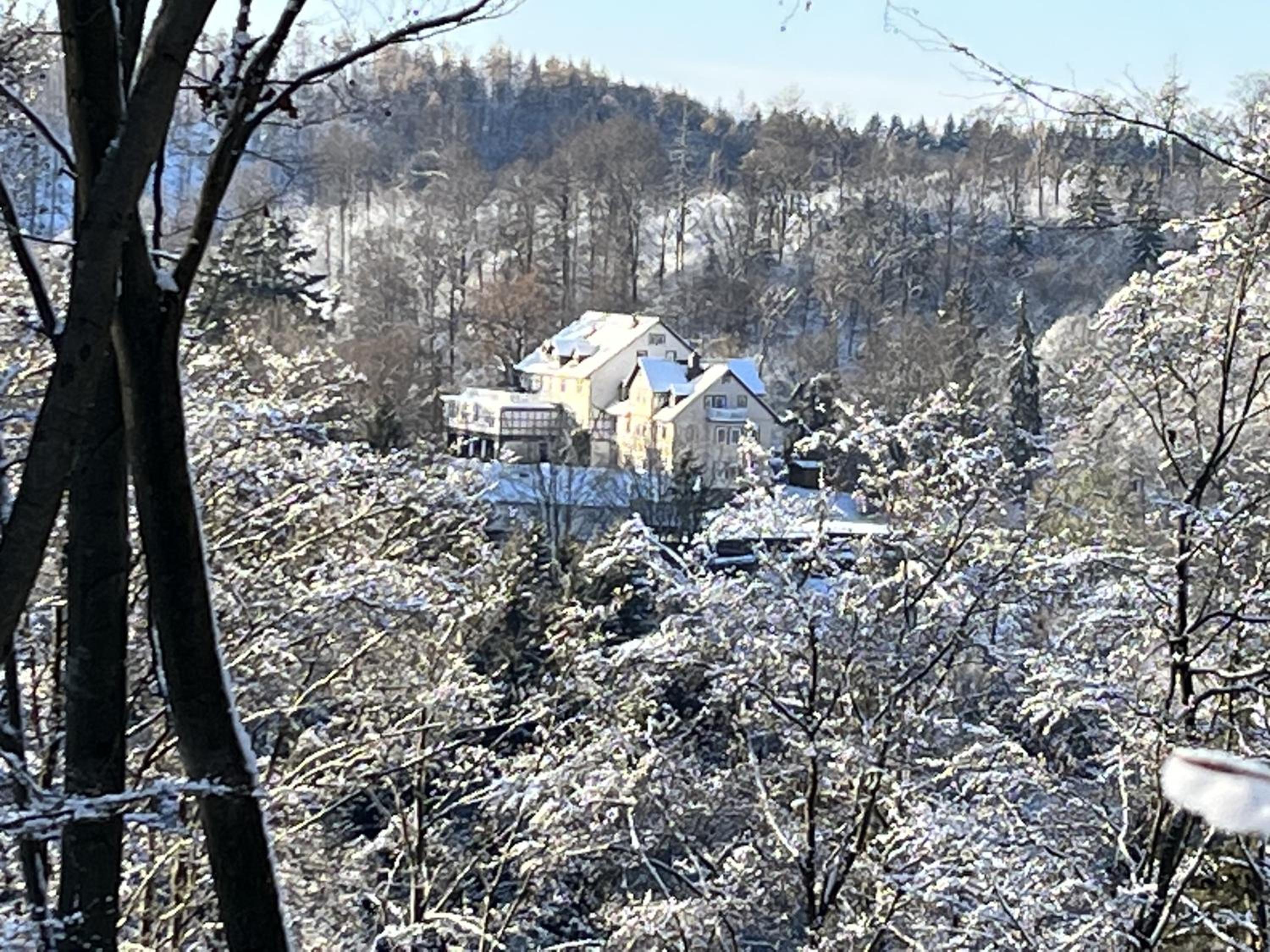 Das Spatzennest