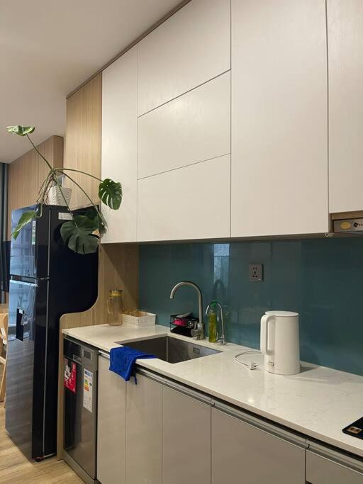 Fami Homestay Ecopark-cozy and equipped Studio view 3