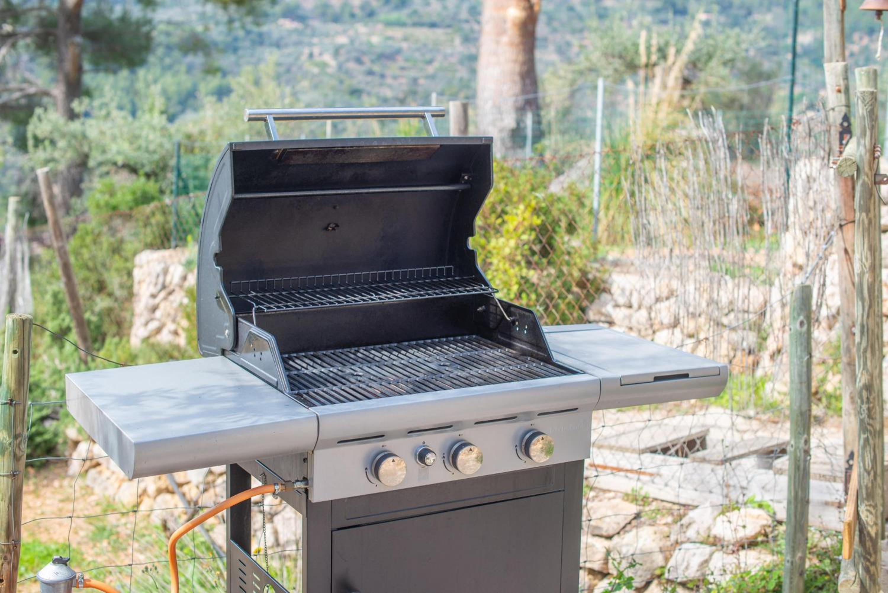 Els Abats view 2