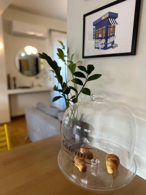 Athenian Coastal Urban Living
