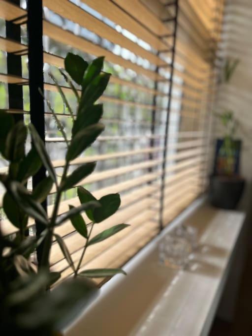 Athenian Coastal Urban Living