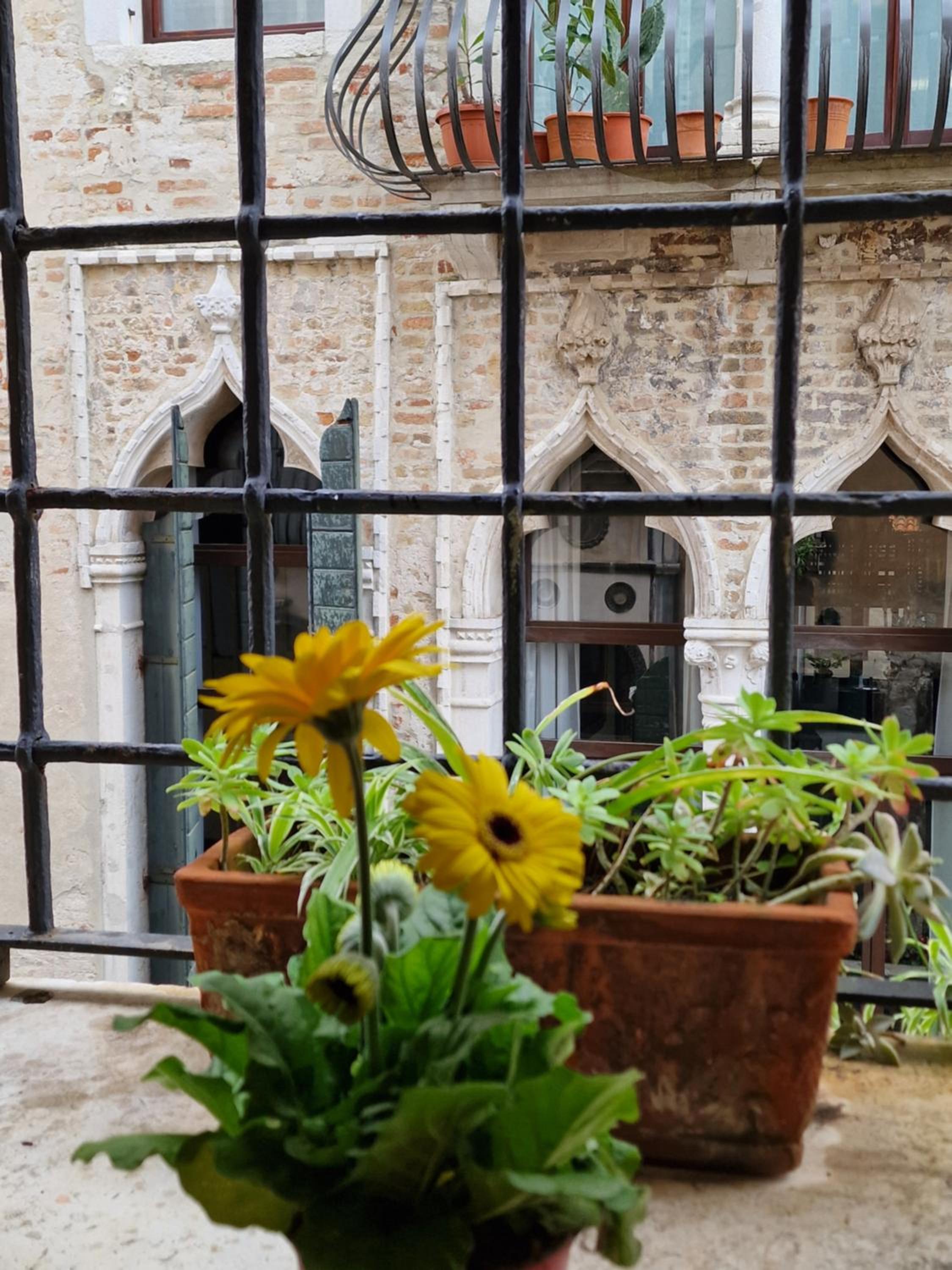 Ca Barbaro with altana-appartamenti storici-