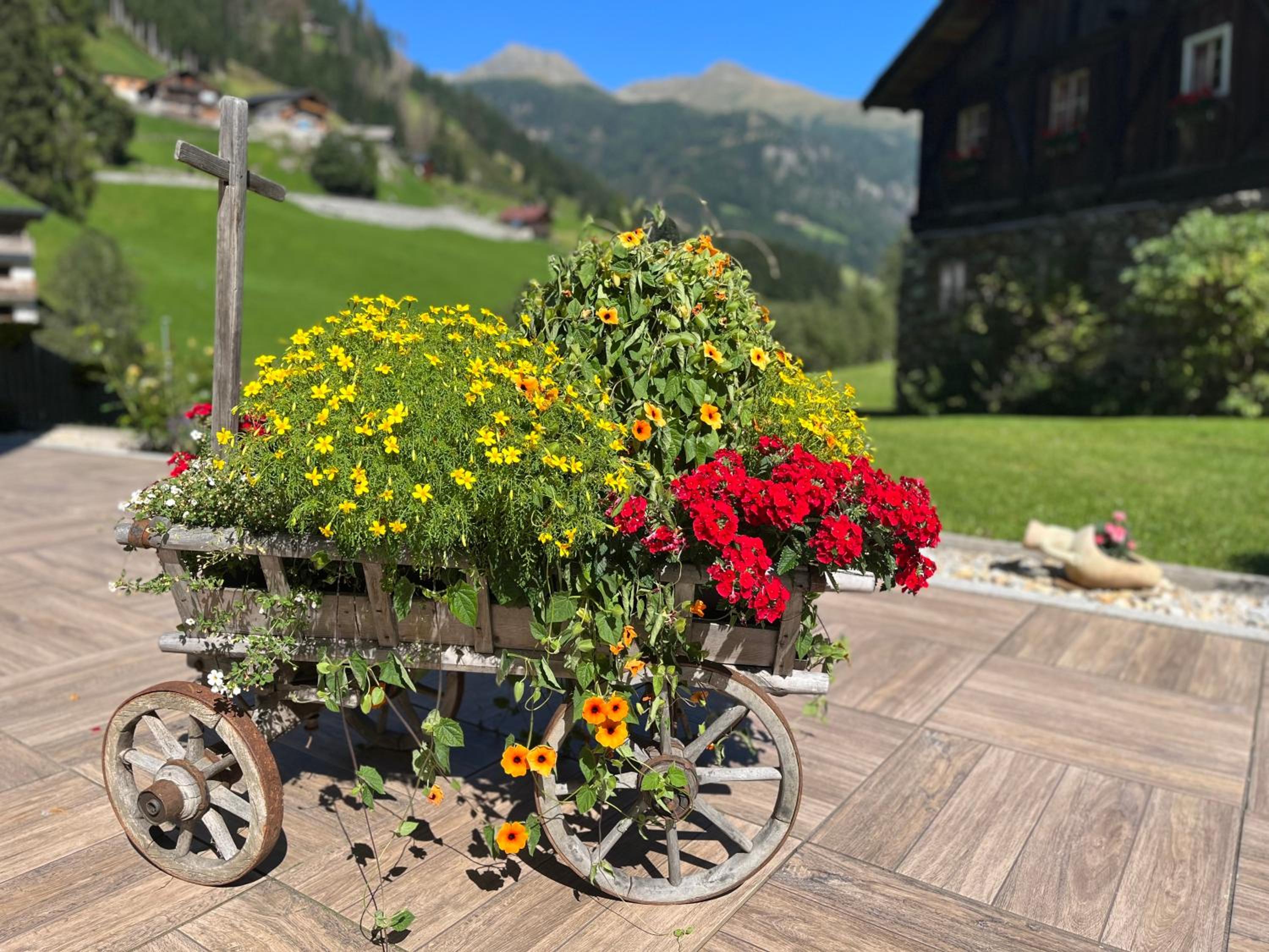 Hotel Garni Grünmoos view 2